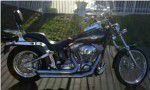 Used 2003 Harley-Davidson Softail Standard For Sale