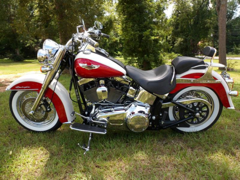 Brand new 2013 harley softail