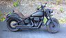 2008 Harley-Davidson Softail