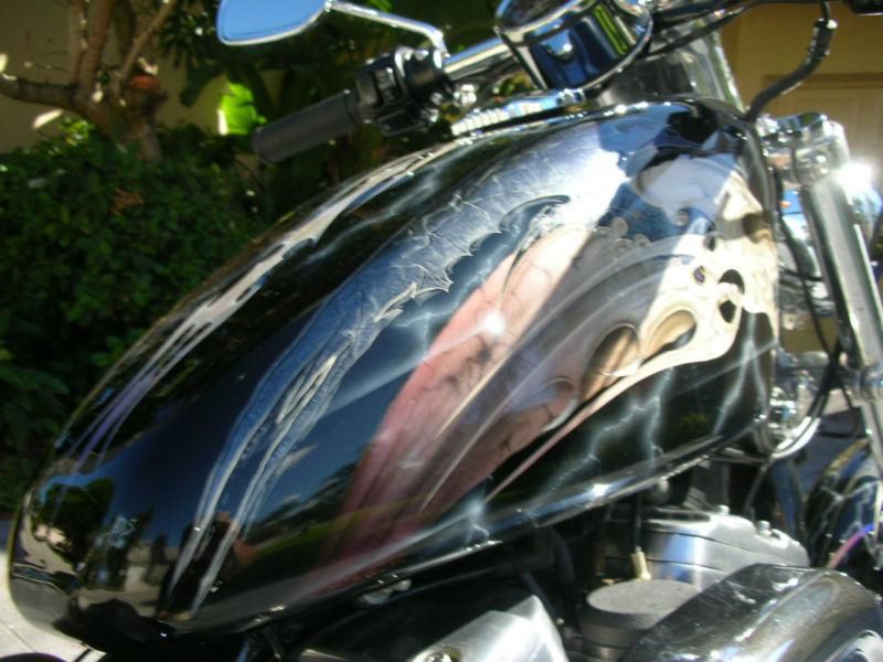 XL883C 100TH. ANNIV. CUSTOM SKULLS...+ UPGRADES WOW !, US $2,500.00, image 2