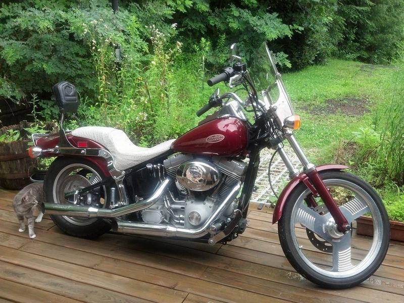 2001 harley-davidson softail standard