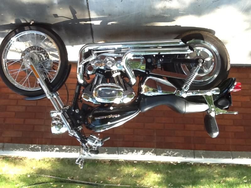 2005 harley davidson sportster 1200