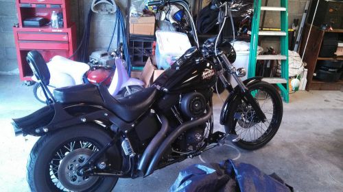 1999 Harley-Davidson Softail