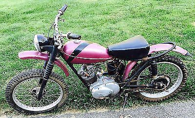 1960 triumph tiger