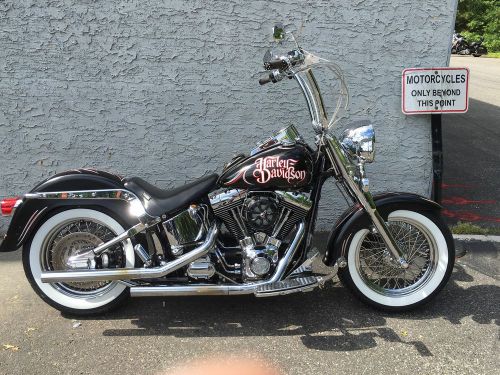 2002 Harley-Davidson Softail