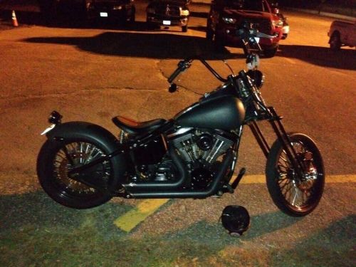 1999 Harley-Davidson Softail, US $6,000.00, image 7