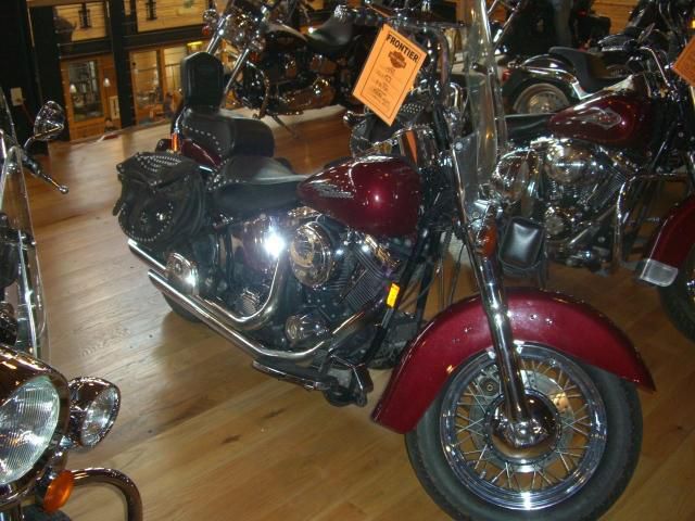 1995 Harley-Davidson FLSTN Cruiser 