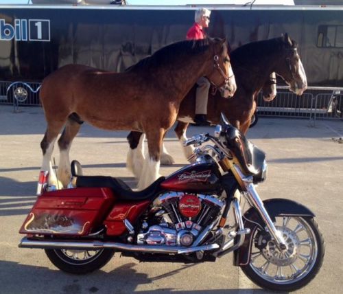 2008 Harley-Davidson Touring