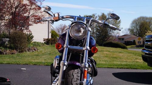2002 Harley-Davidson Dyna, image 7