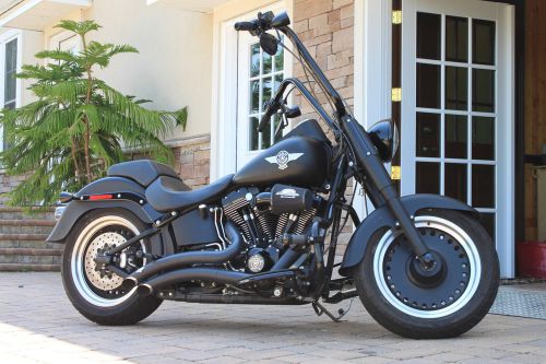 2011 Harley-Davidson Softail