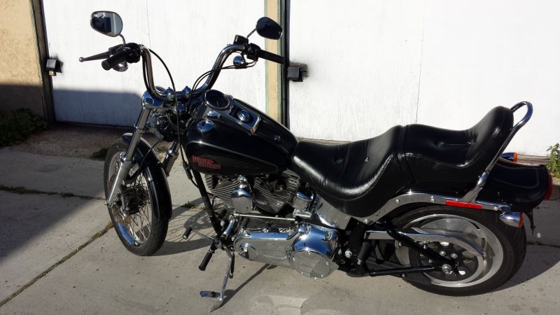 2009 Harley Softail Custom FXSTC, US $9,800.00, image 2