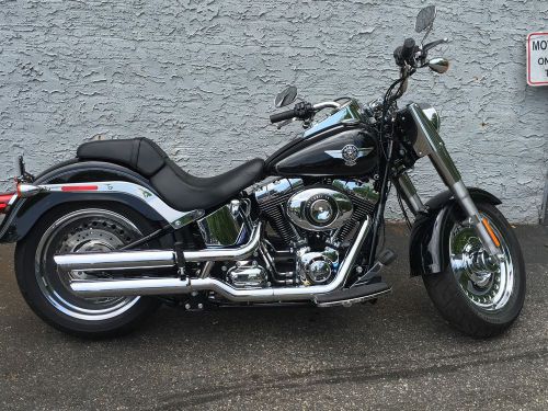 2014 Harley-Davidson Softail, US $13,999.00, image 2