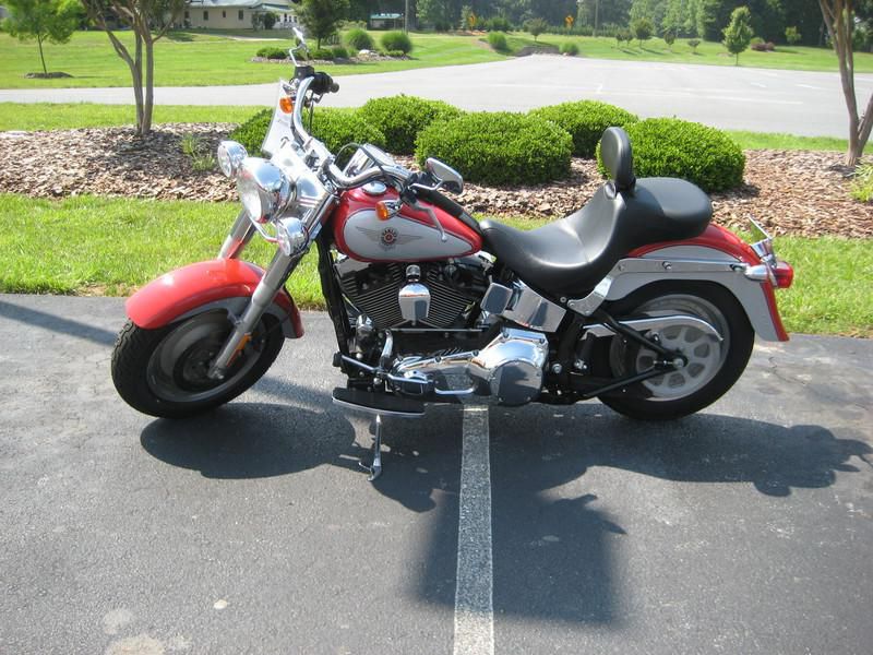 2002 Harley-Davidson FLSTF Cruiser 