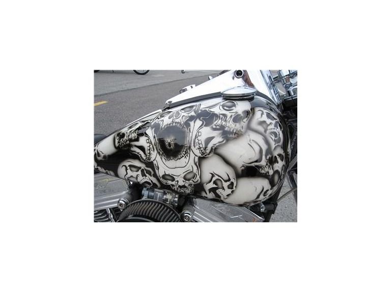 1989 harley-davidson softail 