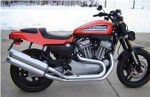 Used 2009 Harley-Davidson XR1200 For Sale