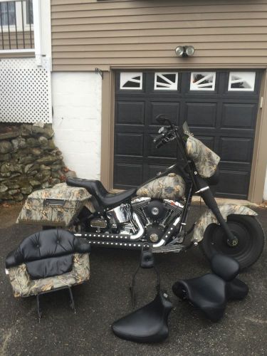 2002 Harley-Davidson Softail