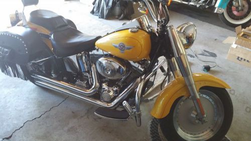 2006 Harley-Davidson Softail