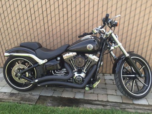 2015 harley-davidson softail