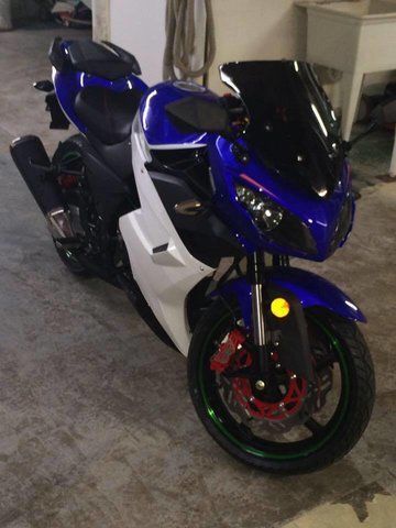 2016 Other Makes DF250RTS