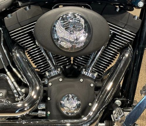 2001 Harley-Davidson Softail Night Train®, US $1.00, image 2