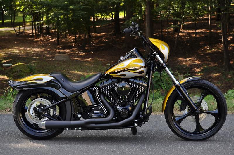 2008 fxstc softail custom **mint** $12,000.00 in xtra's!! 1 of a kind!!