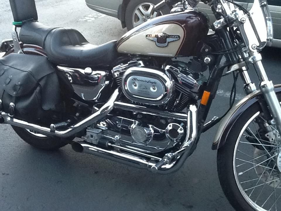 1998 Harley-Davidson Custom Custom 