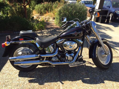 2001 harley-davidson softail