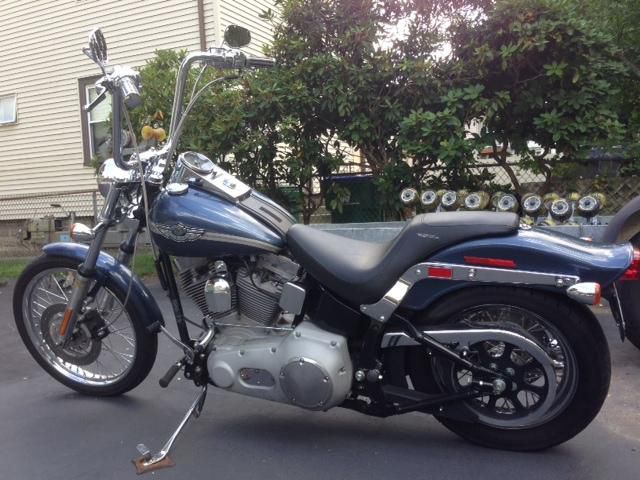 2003 harley softail standard 100th annivesary addition