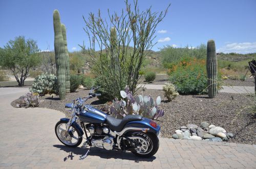 2001 harley-davidson softail