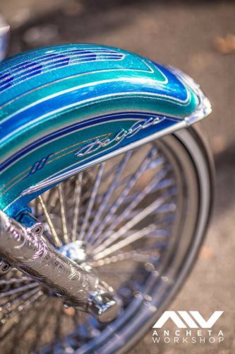 2007 harley-davidson softail