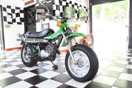 1973 Suzuki Other, US $4,750.00, image 12