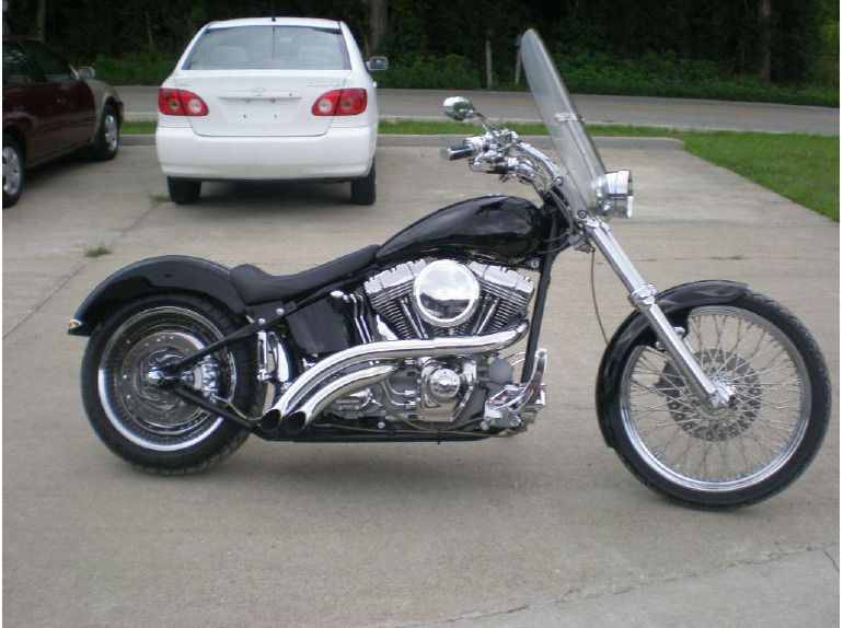 2002 Harley-Davidson FXST/FXSTI Softail Standard 