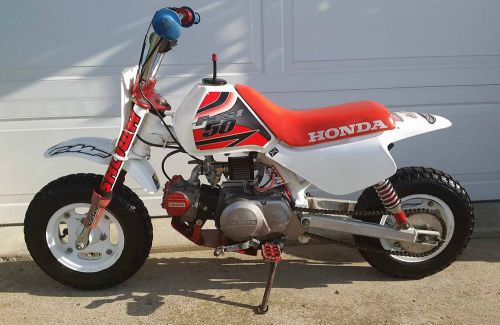 Honda Custom Built Honda Z50R Fast 50 Pit Racer