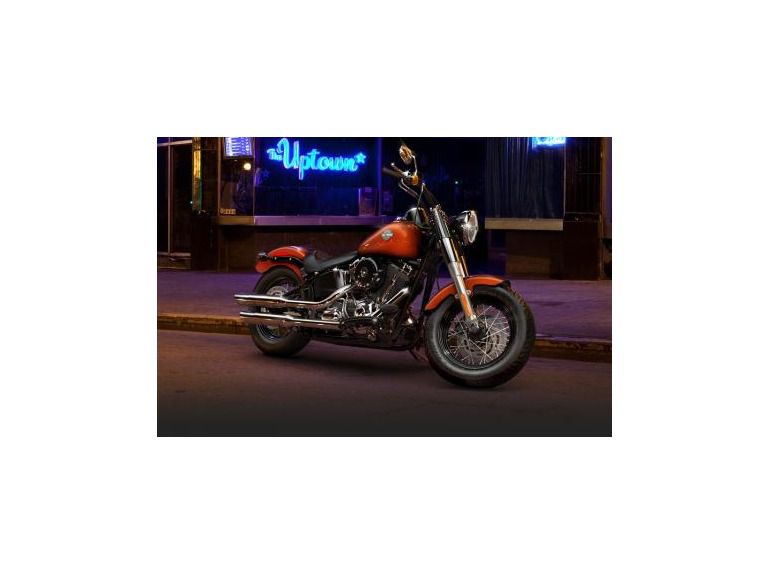 2014 Harley-Davidson FLS 