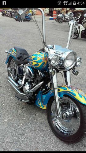 2002 Harley-Davidson Softail