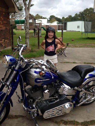 2009 Harley-Davidson Softail, US $25,000.00, image 3