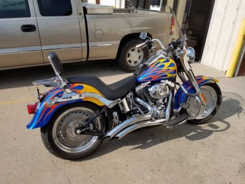 2007 harley-davidson softail