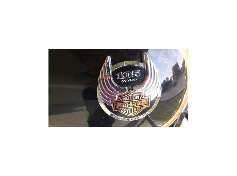 2008 Harley-Davidson Dyna FXDWG 105th Anniversary Editio , $10,495, image 8