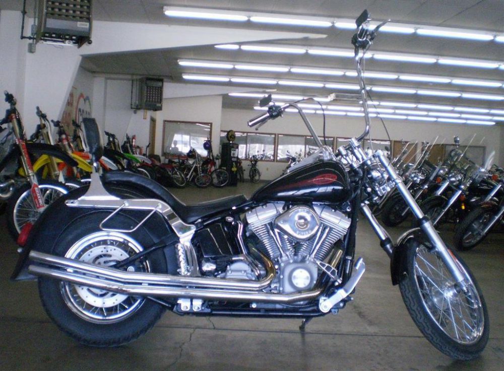 2004 Harley-Davidson FXST/FXSTI Softail Standard Cruiser 