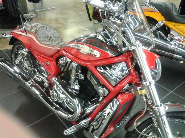 2006 harley-davidson cvo screamin&#039; eagle v-rod