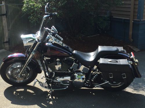 2000 harley-davidson softail