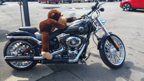 2014 Harley-Davidson Softail