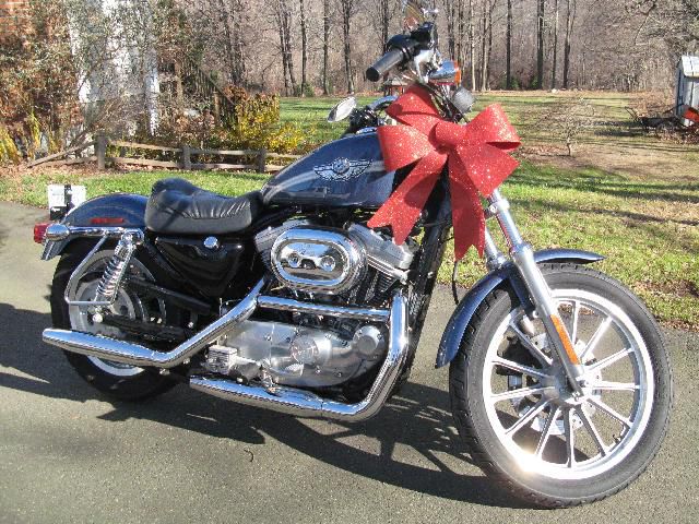 2003 HARLEY DAVIDSON XLH SPORTSTER 883 HUGGER Anniversary Edition