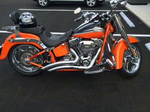 2010 Harley-Davidson Softail