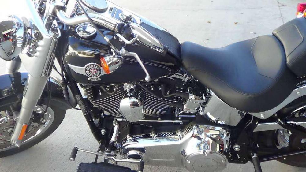 2014 Harley-Davidson FLSTF Standard , US $0.00, image 8