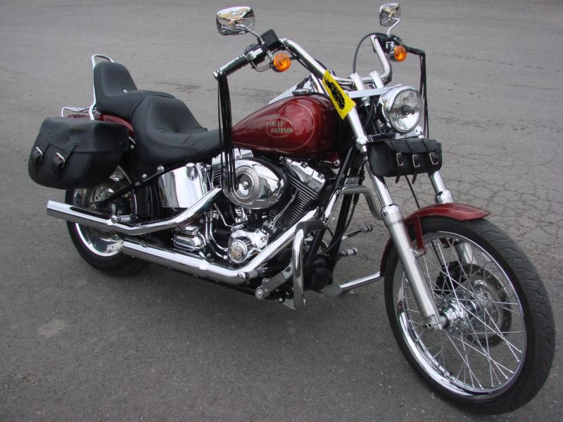 2009 harley davidson softail custom