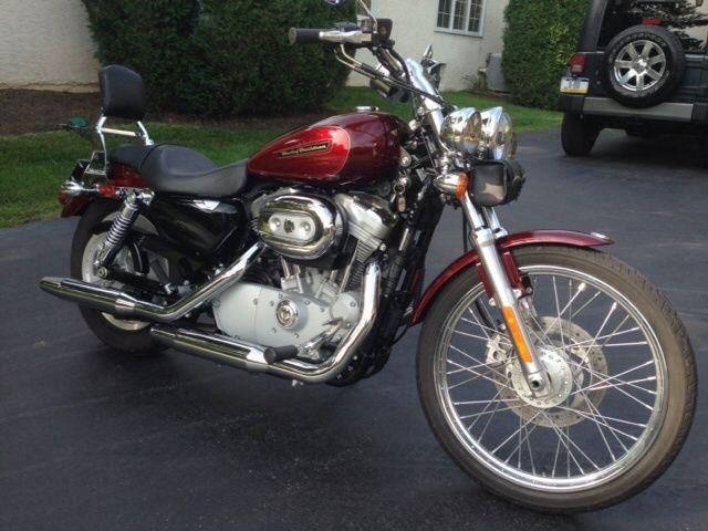 2008 Harley Davidson sportster 883 custom one owner mint only 900 miles