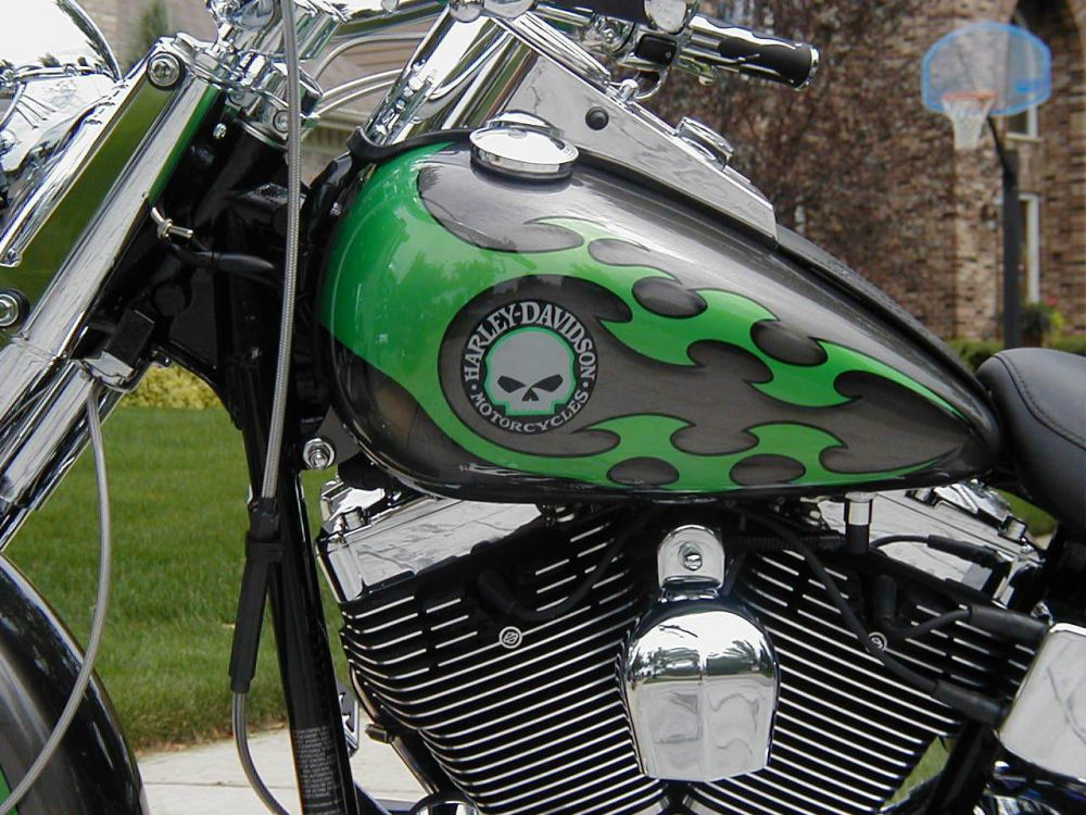 2004 harley-davidson softail  custom 