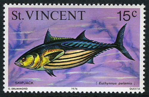 St Vincent 472, MNH. Fish. Skipjack, 1976