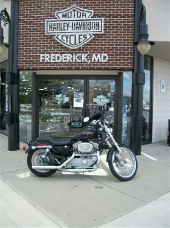 2001 Harley-Davidson XL 883C Sportster Custom